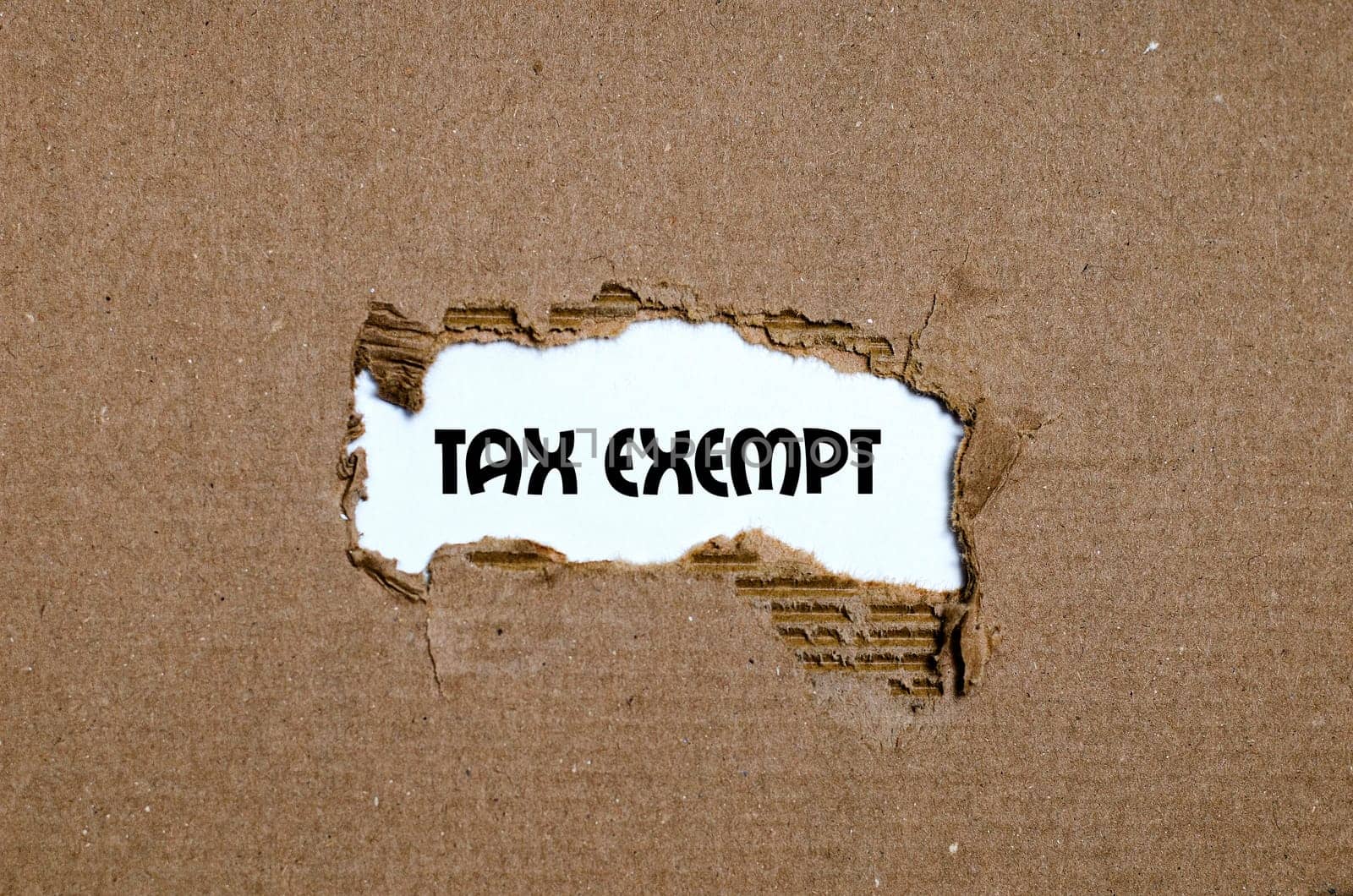 The word tax exempt appearing behind torn paper