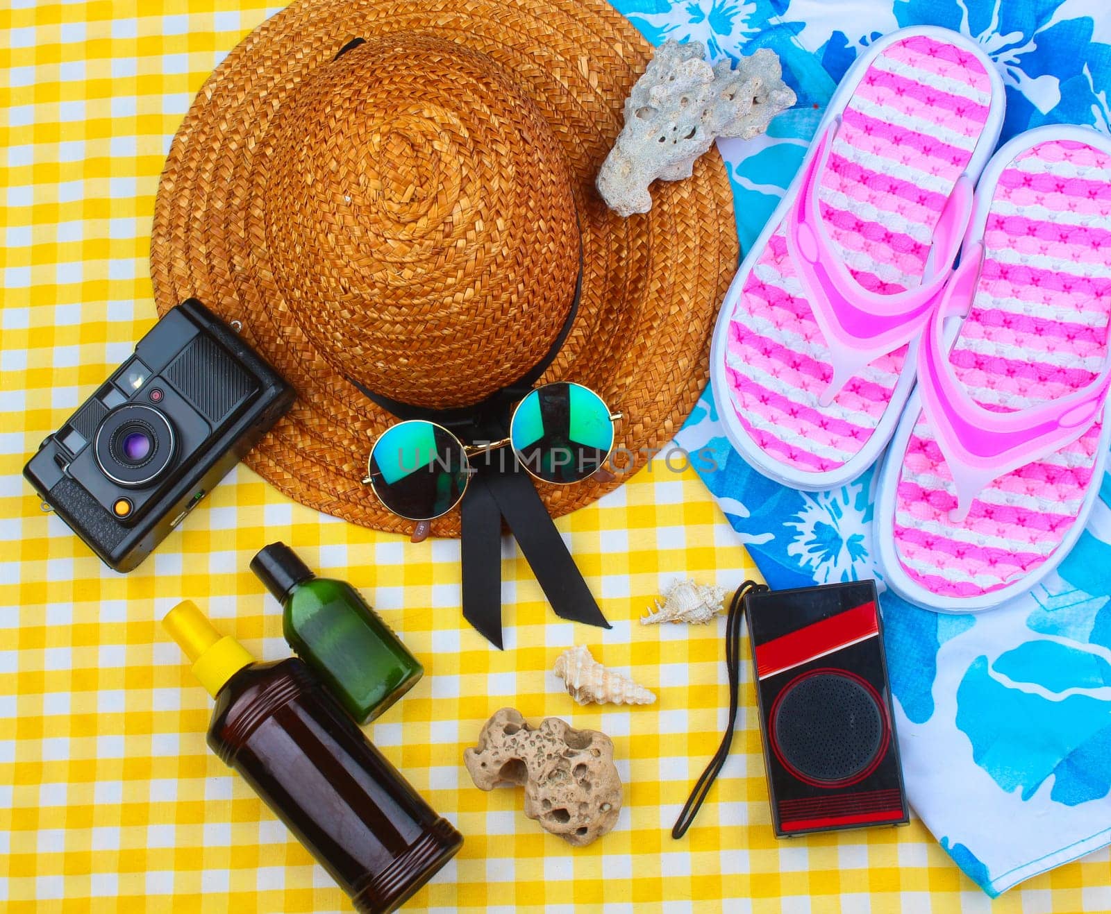 Beach Time Summer Travel Kit featuring sleepers, bikini, radio, sun lotion, lotion, hat & camera