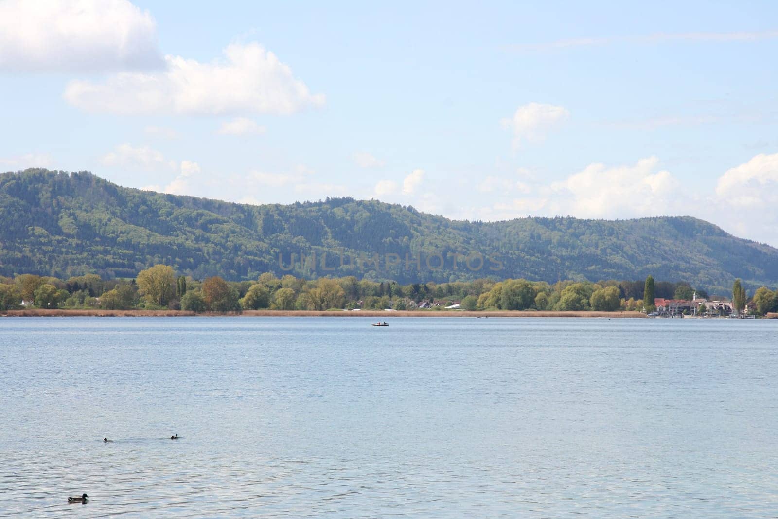 View over a part of Lake Constance