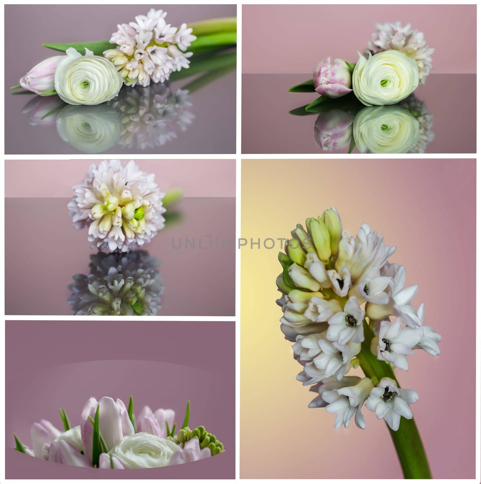 Collage with spring flowers