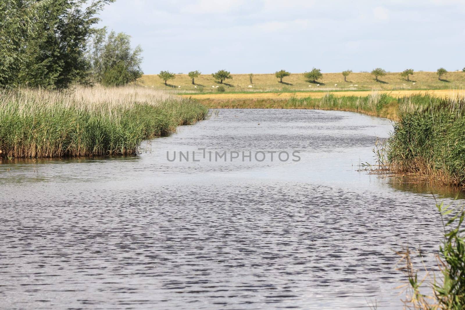 a drainage canal in the Netherlands.