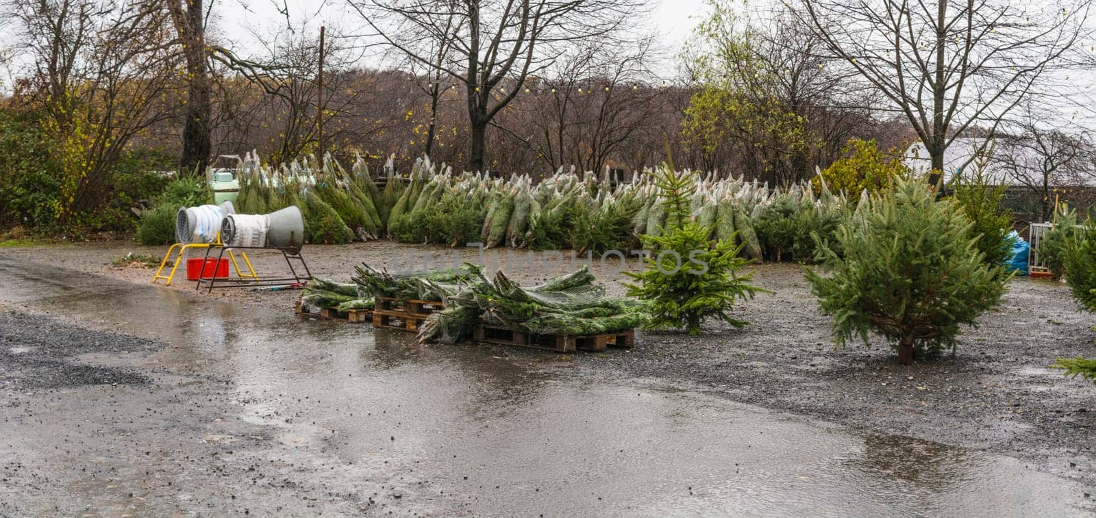 Pop up store for the sale of Christmas trees..