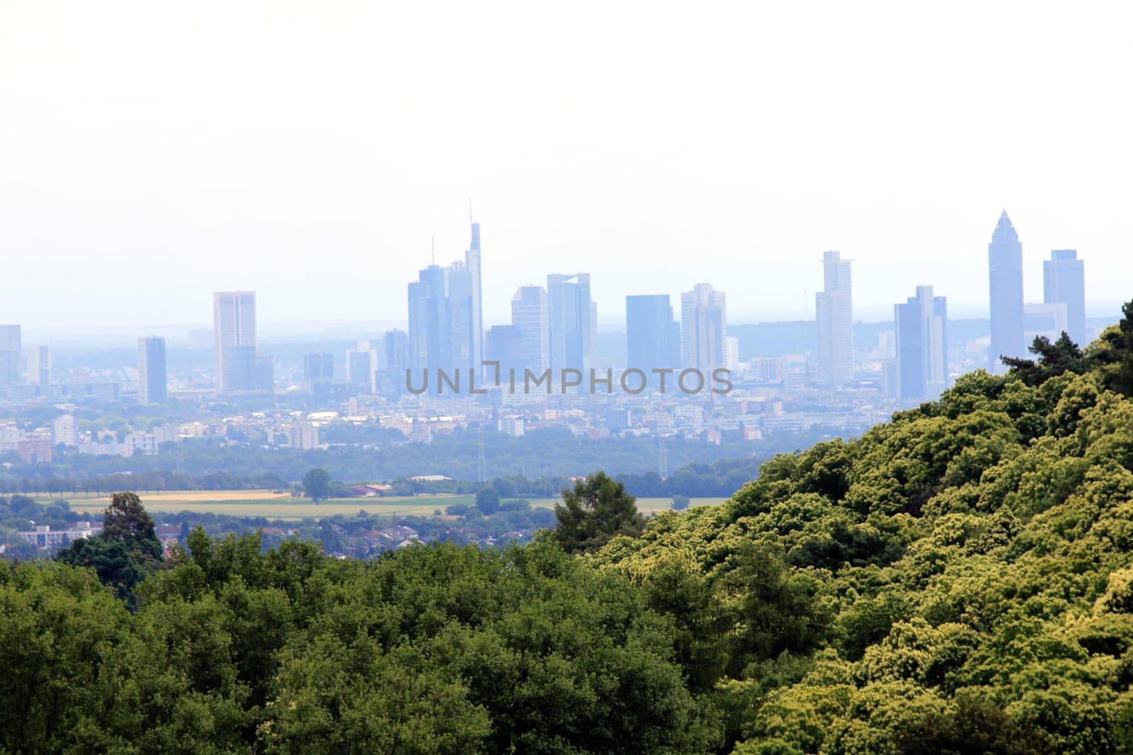 Skyline of Frankfurt a.M. behind a small forest.