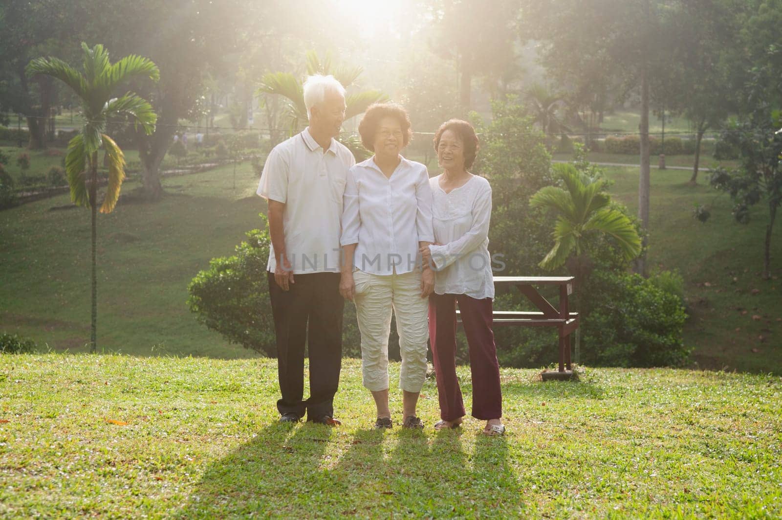 Group portrait of healthy and happy Asian seniors retiree walking at outdoor nature park, in morning beautiful sunlight at background.