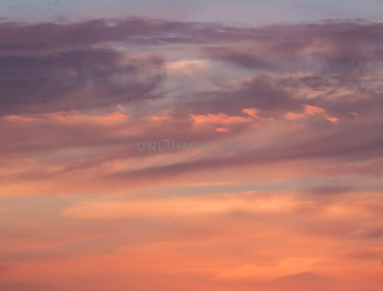 beautiful bright sunset sky can be used as background