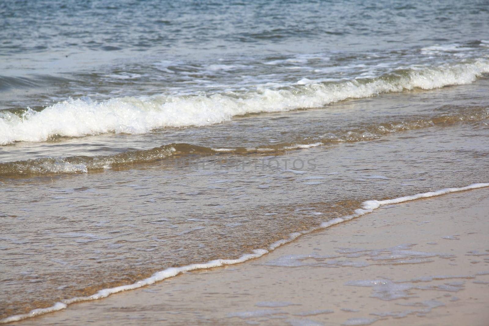 Waves with white foam crowns roll over the surface of the sea.
