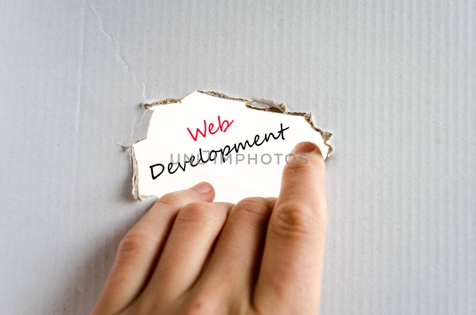 Development text concept isolated over white background