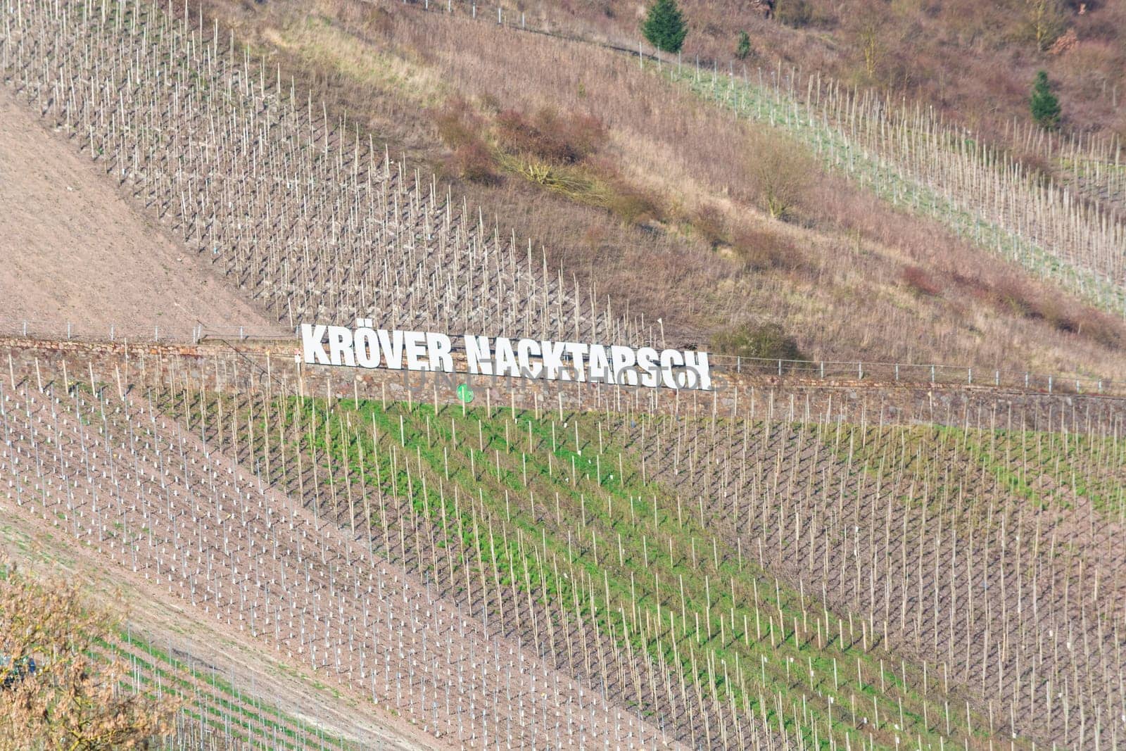 Traben-Trarbach ,Germany - March 26,2016:. Advertising board in the vineyards with the inscription Kröver Nacktarsch. German wine-growing region on the Moselle near Traben-Trarbach,Rhineland-Palatinate,Germany,Europe..