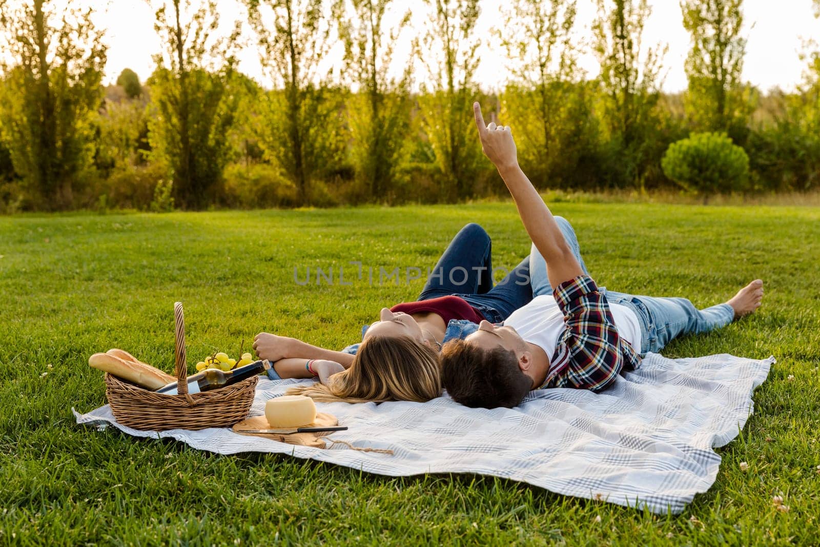 Shot of a happy couple enjoying a day in the park and making a toast