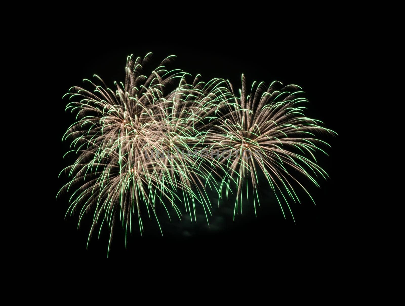 Green fireworks exploding in the night sky