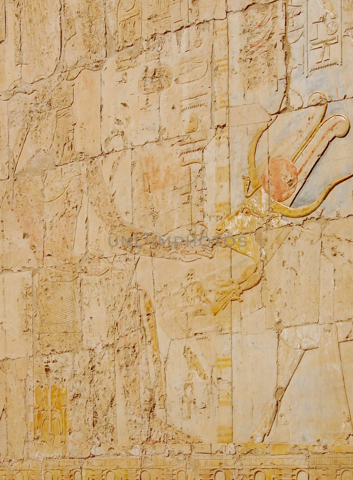 Ancient Egyptian relief on wall in Hatshepsut temple, Egypt