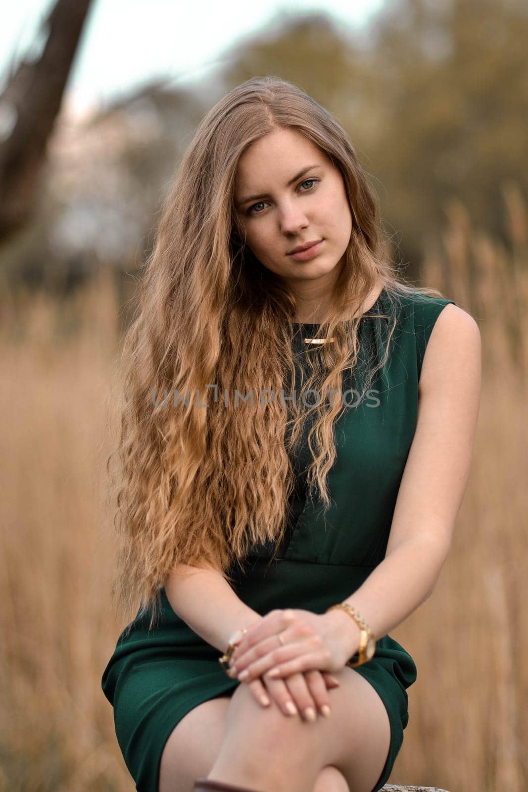 Beautiful,smiling,positive,caucasian,light-haired girl with modern,natural beauty sitting on the stump in the field,cute look,magnificent,light,curly,long hair,beauty,star,model.Cute style.Close-up.Beautiful,nice,pretty,cute girl with long,light hair