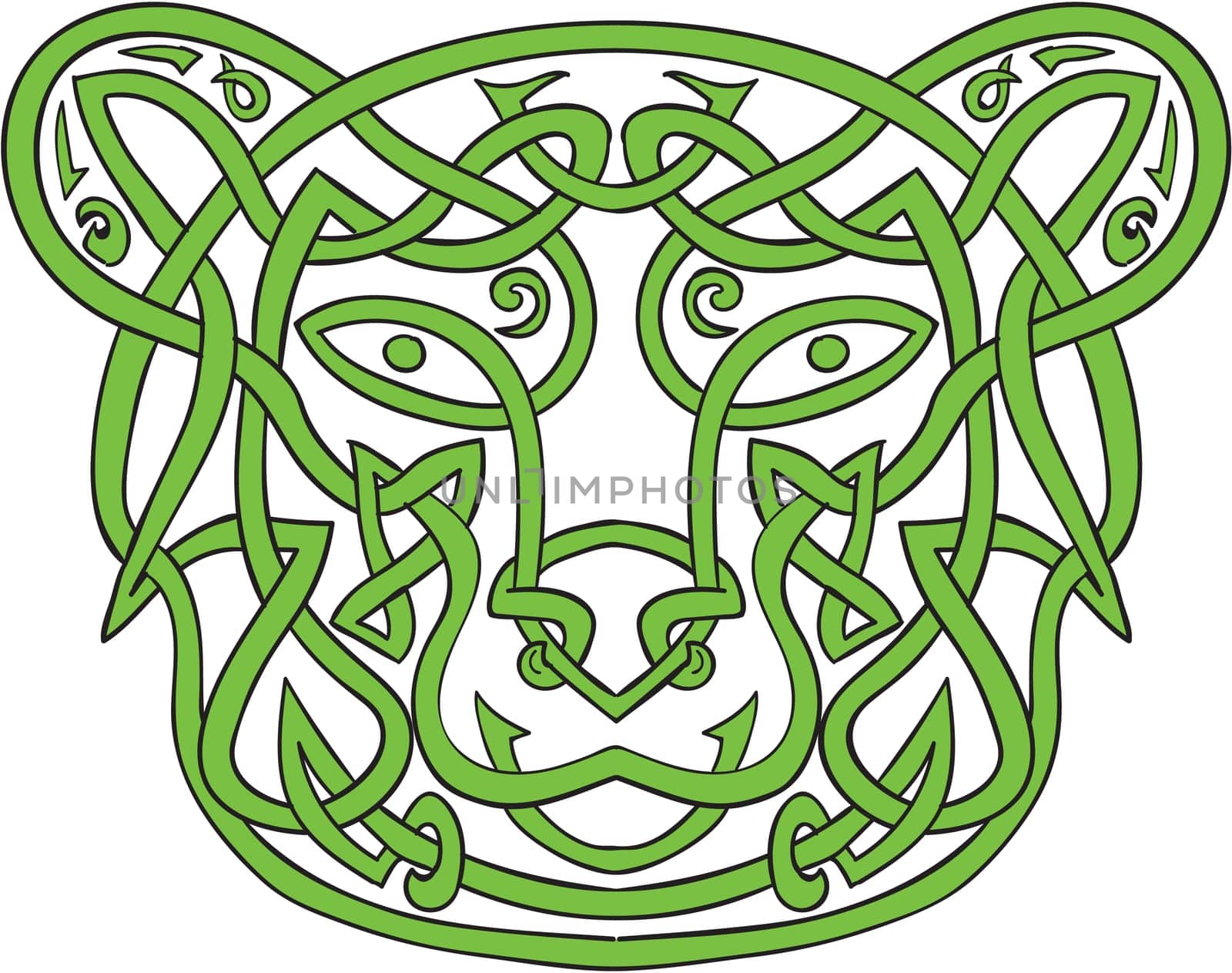 Illustration of stylized bear made in Celtic knot, called Icovellavna, .plait work or knotwork woven into unbroken cord design.