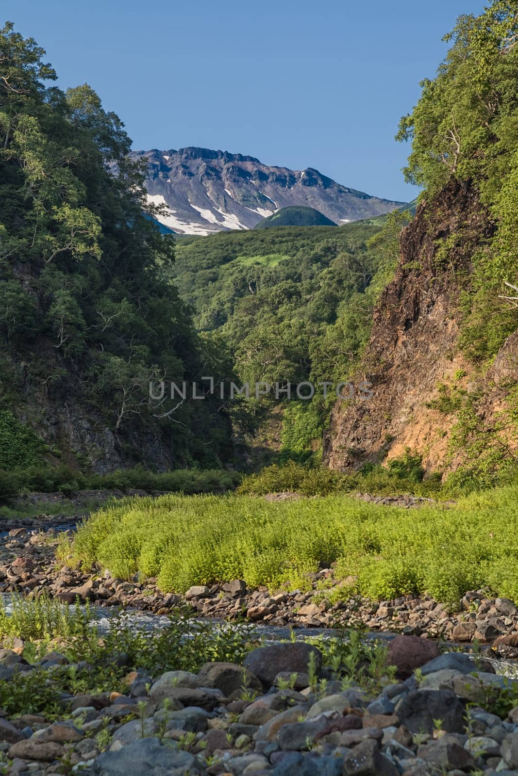 Flora of Kamchatka. Forests and fields. Nature of Kamchatka. Landscapes and magnificent views of the Kamchatka Peninsula.