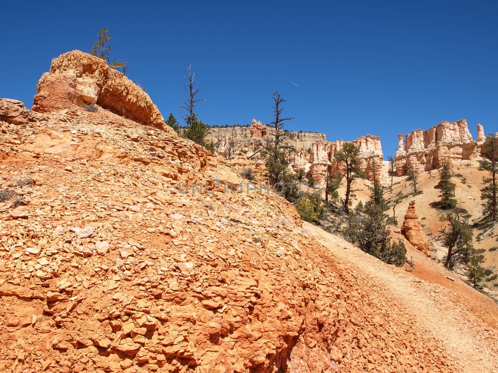 The Bryce Canyon National Park, Utah, United States