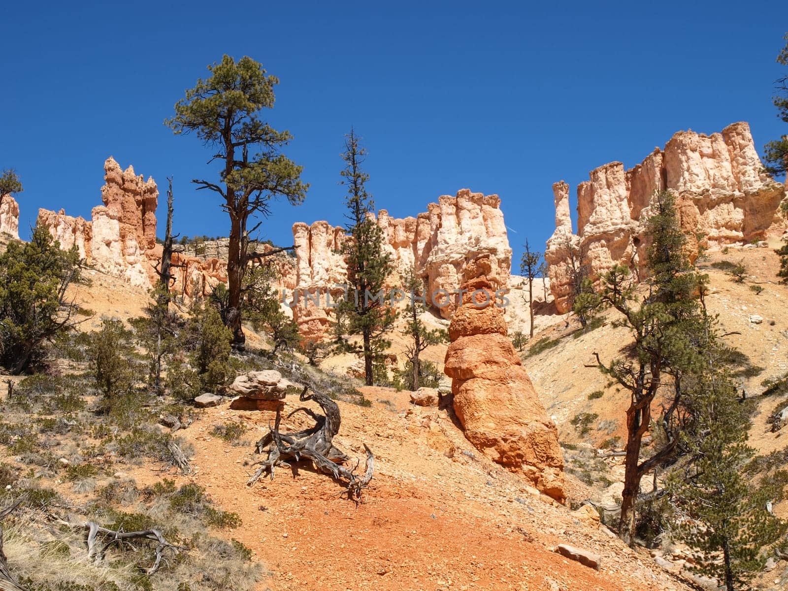 The Bryce Canyon National Park, Utah, United States