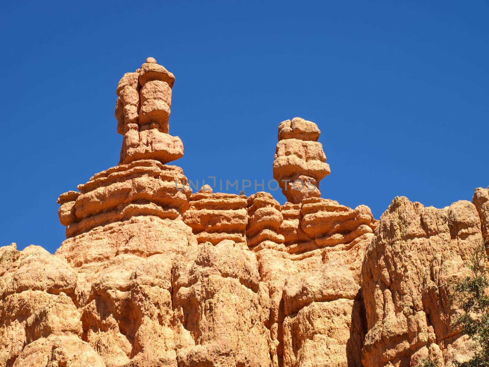 The Bryce Canyon National Park, Utah, United States