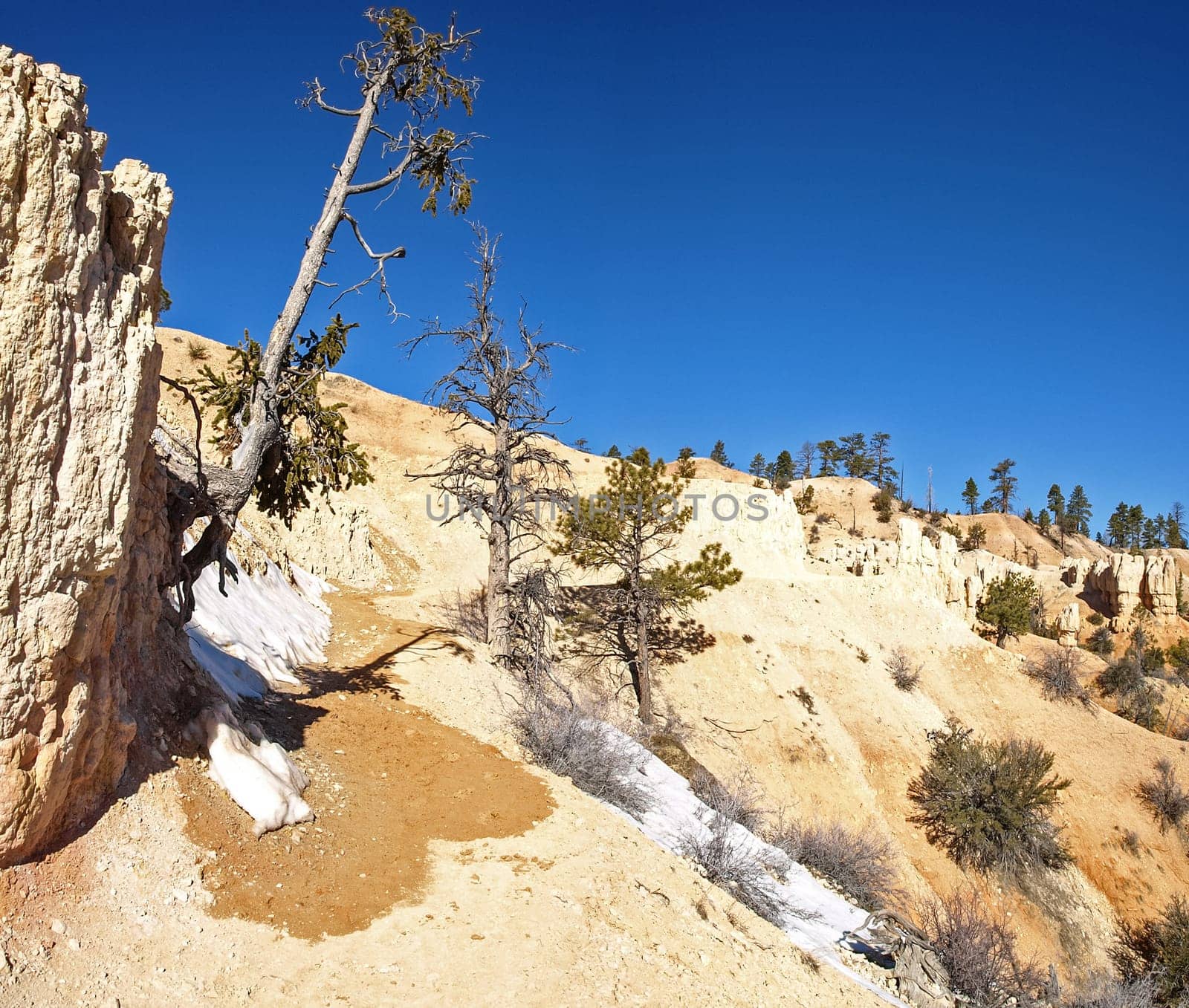 The Bryce Canyon National Park, Utah, United States