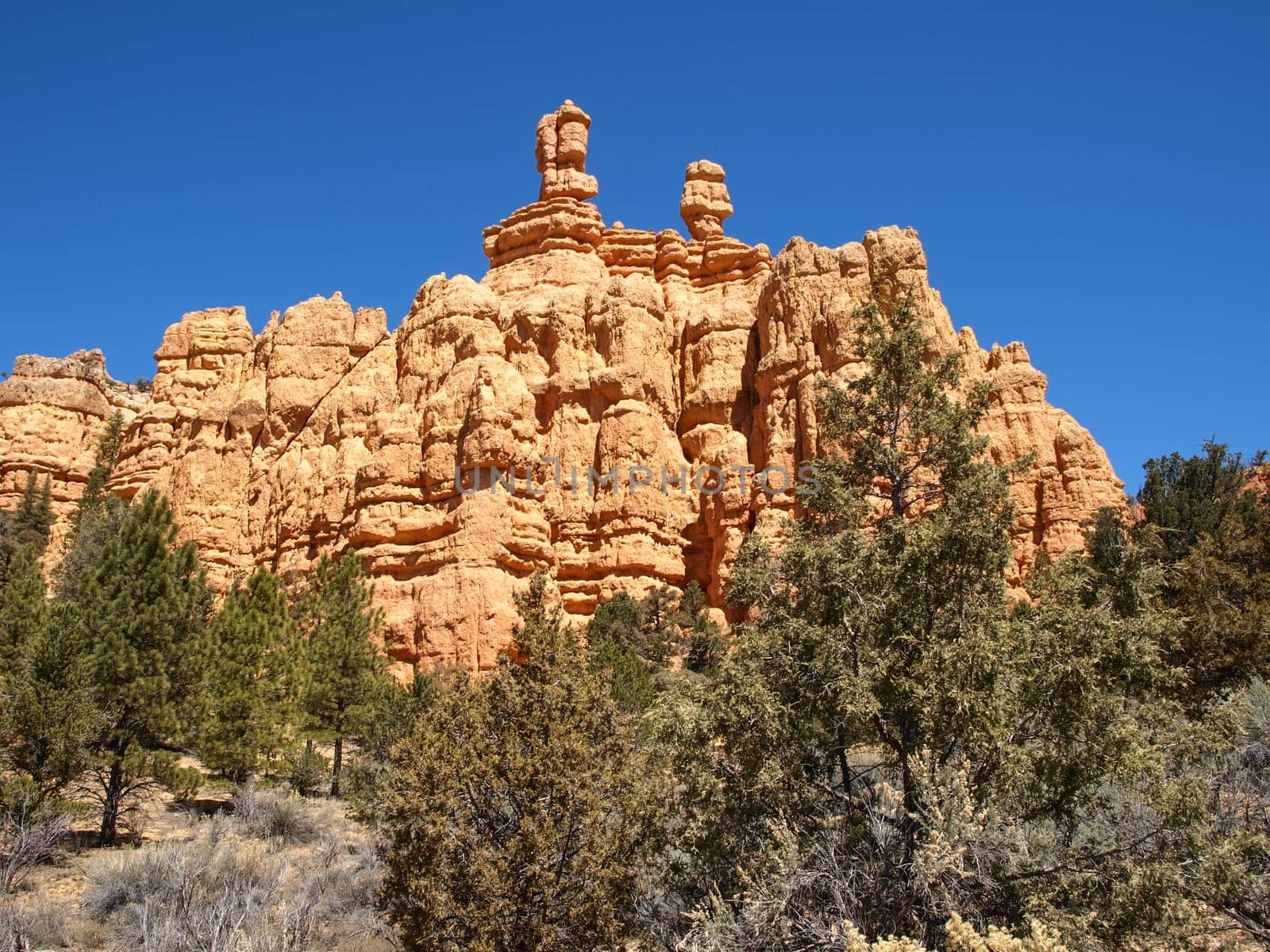 The Bryce Canyon National Park, Utah, United States