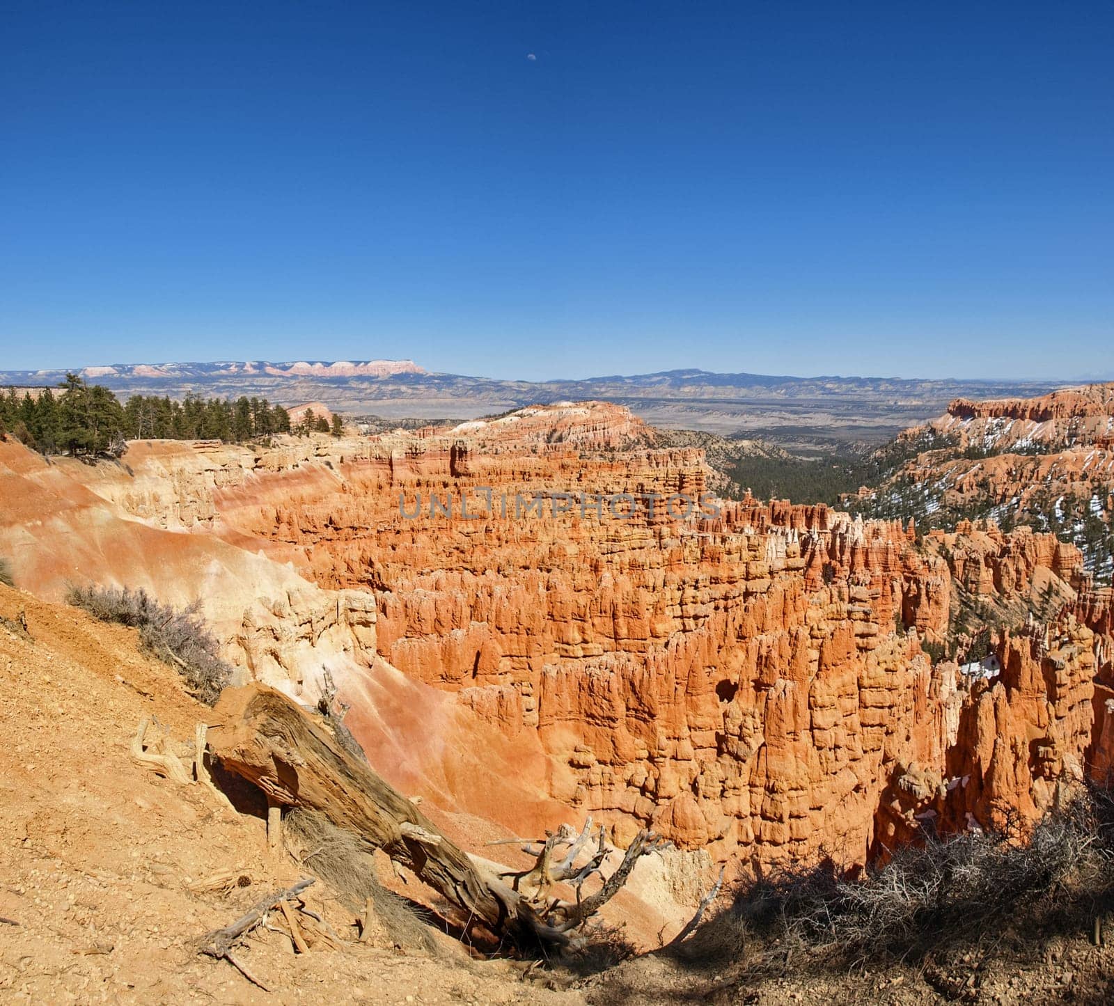 The Bryce Canyon National Park, Utah, United States