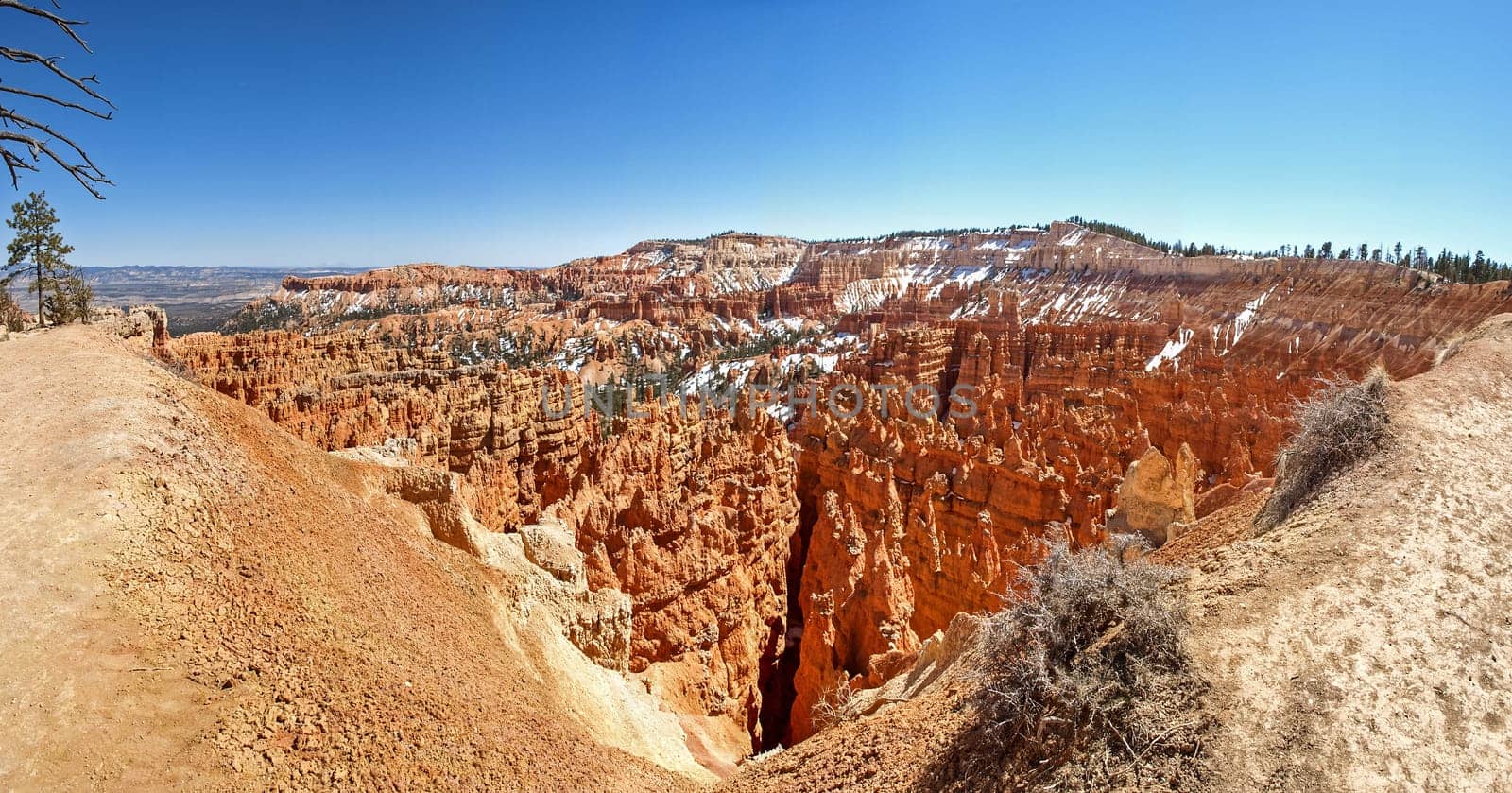The Bryce Canyon National Park, Utah, United States