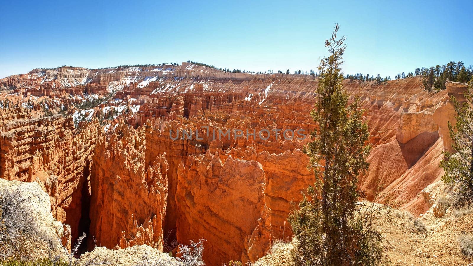 The Bryce Canyon National Park, Utah, United States