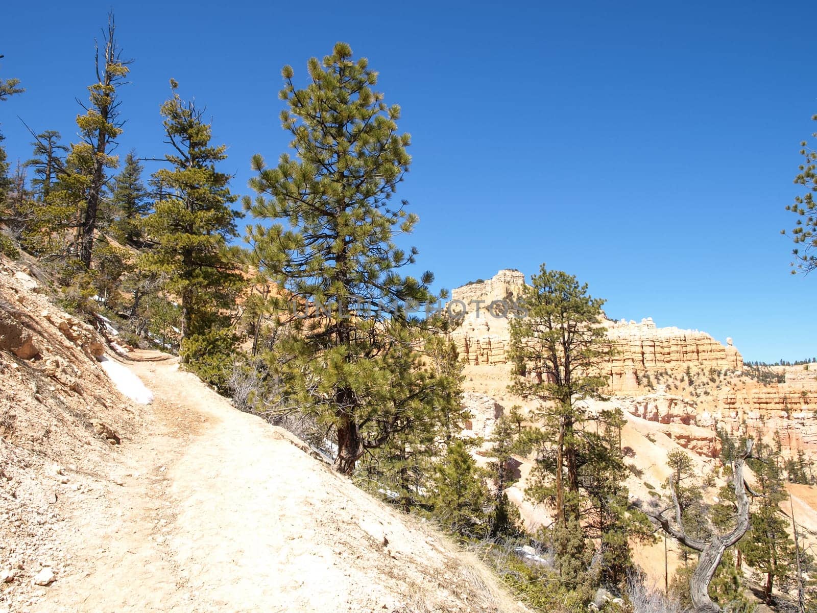The Bryce Canyon National Park, Utah, United States