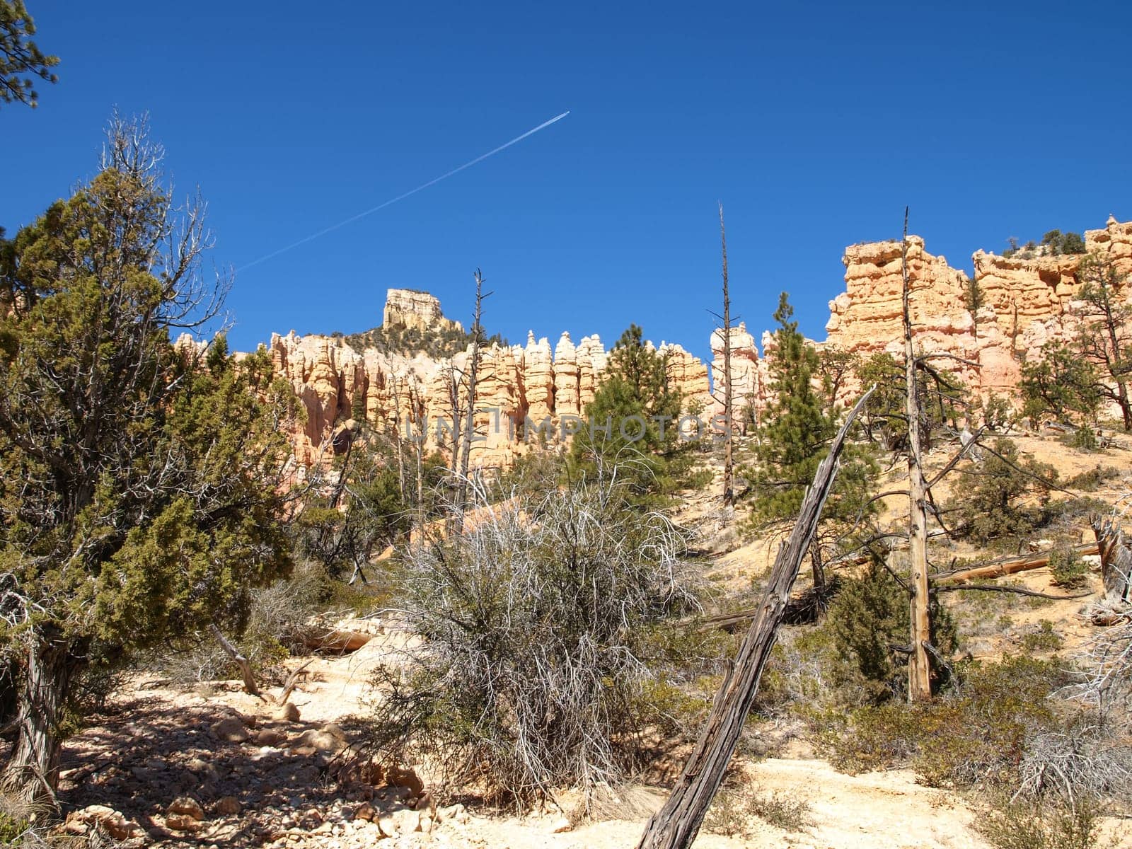 The Bryce Canyon National Park, Utah, United States