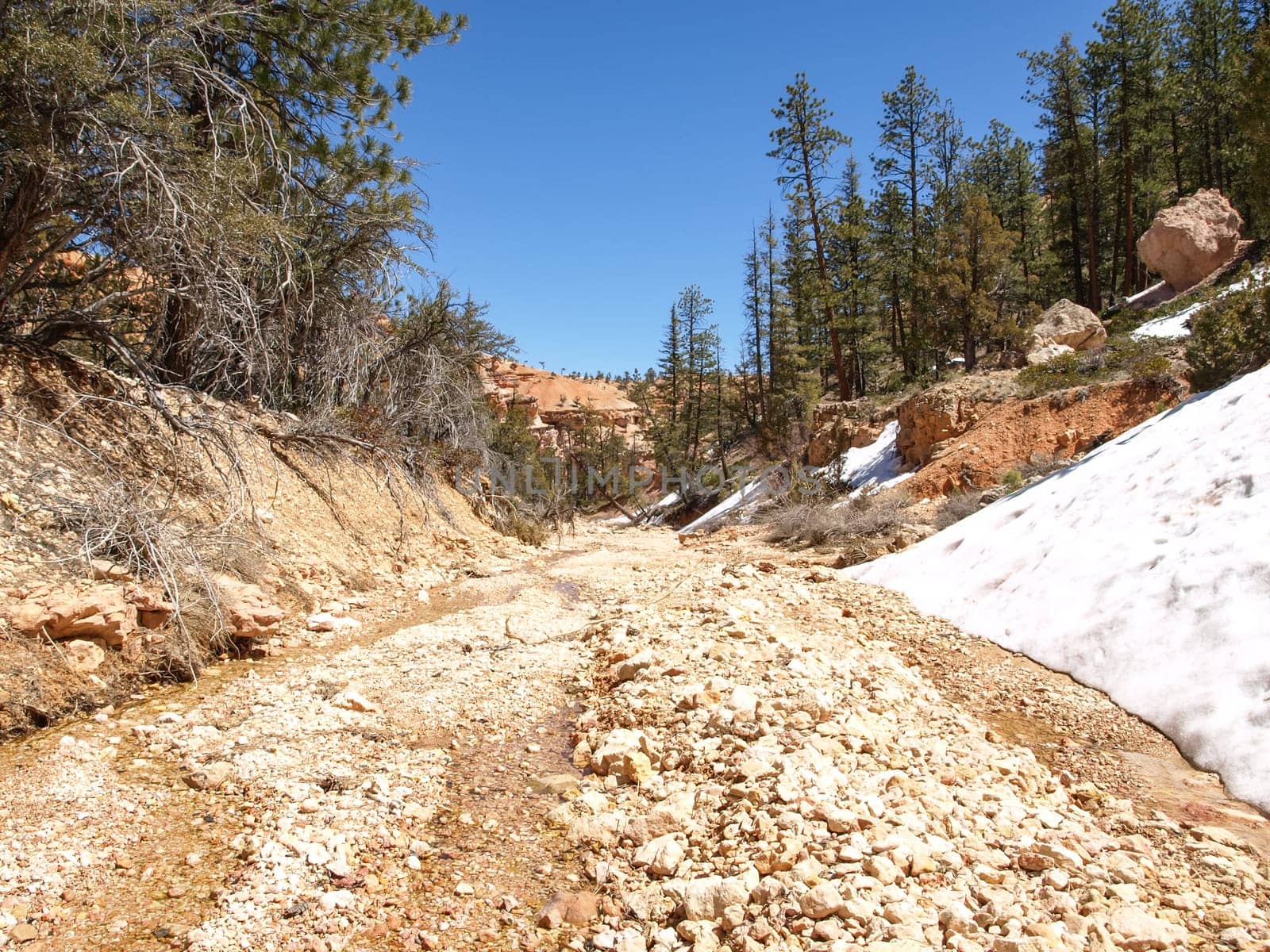 The Bryce Canyon National Park, Utah, United States