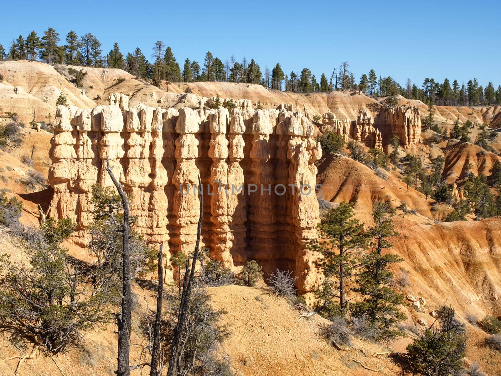 The Bryce Canyon National Park, Utah, United States