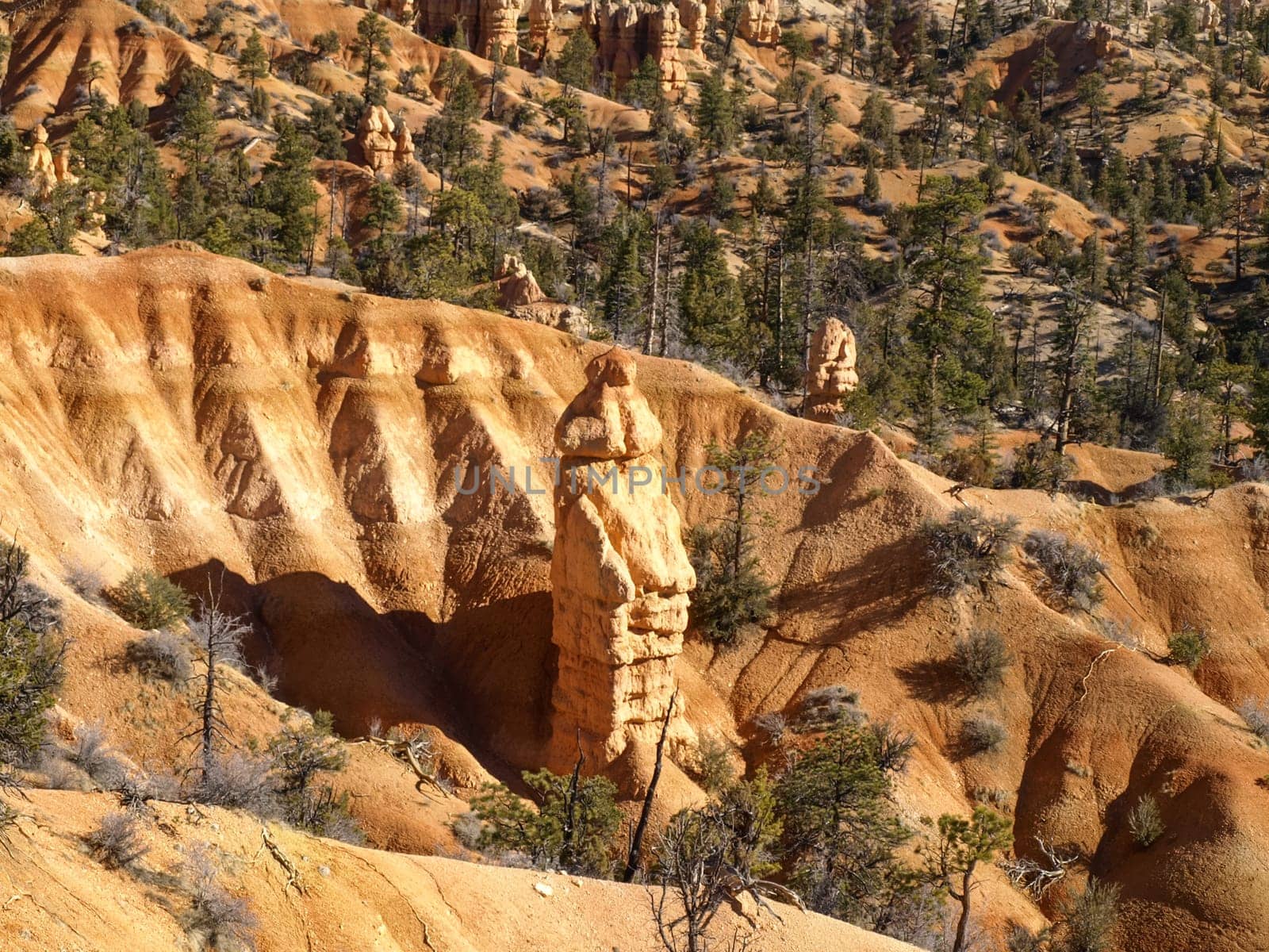 The Bryce Canyon National Park, Utah, United States