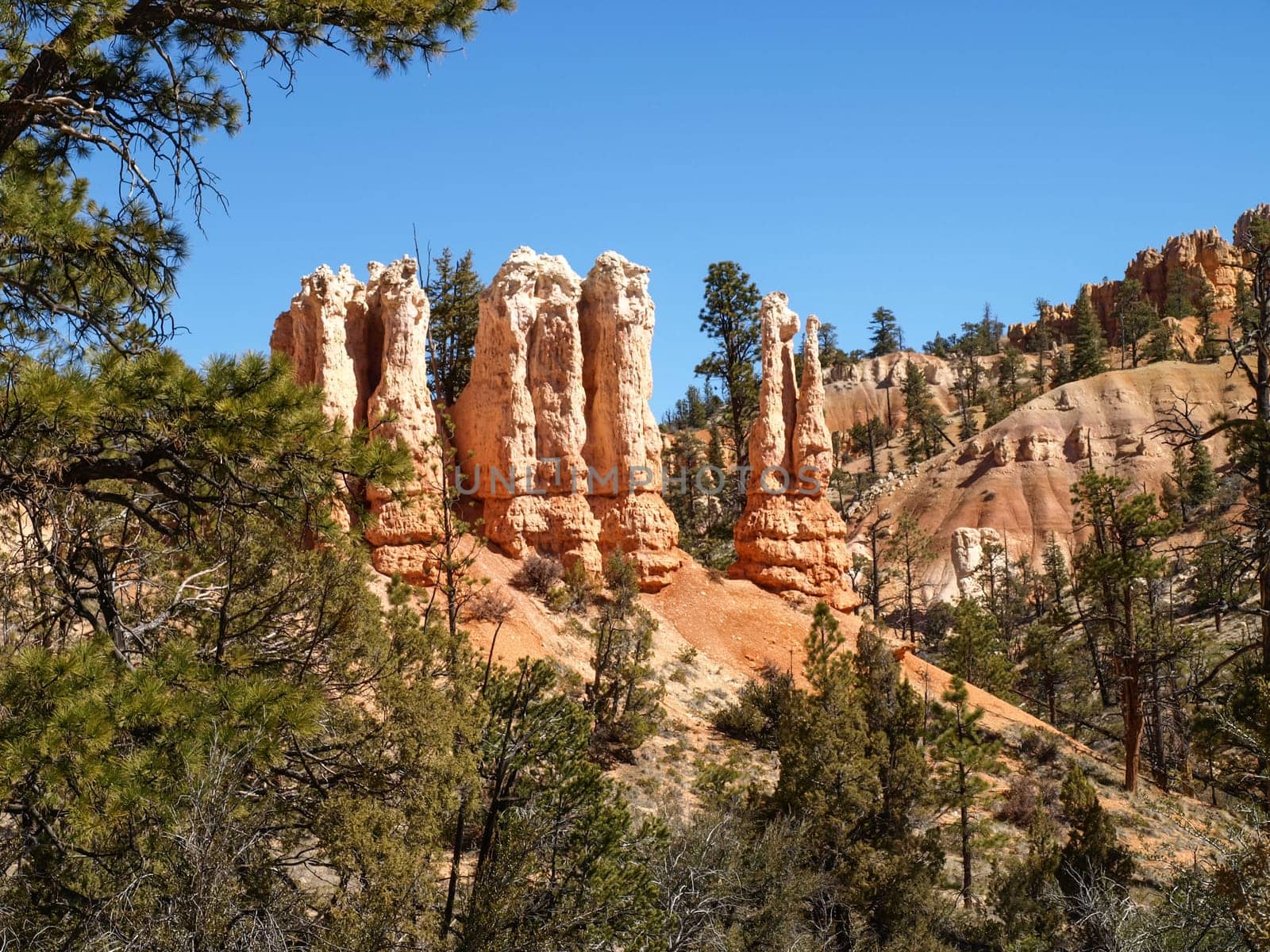 The Bryce Canyon National Park, Utah, United States