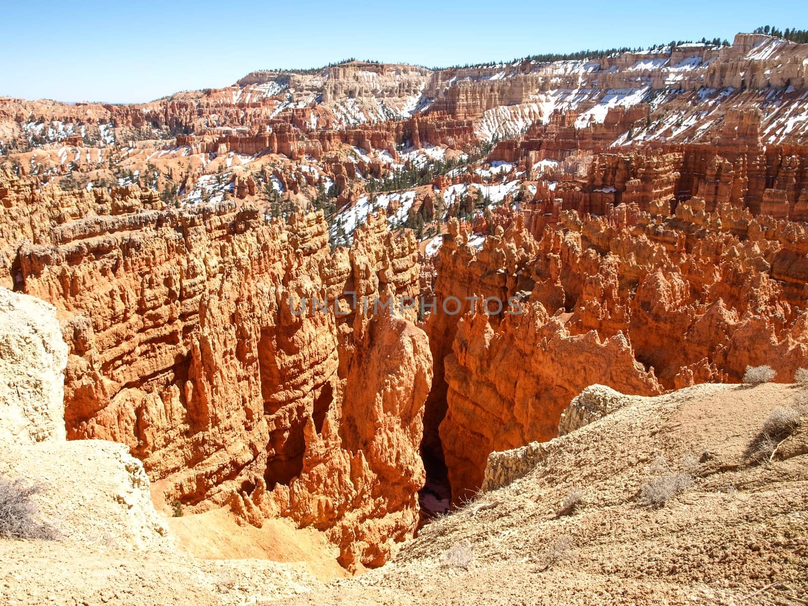 The Bryce Canyon National Park, Utah, United States