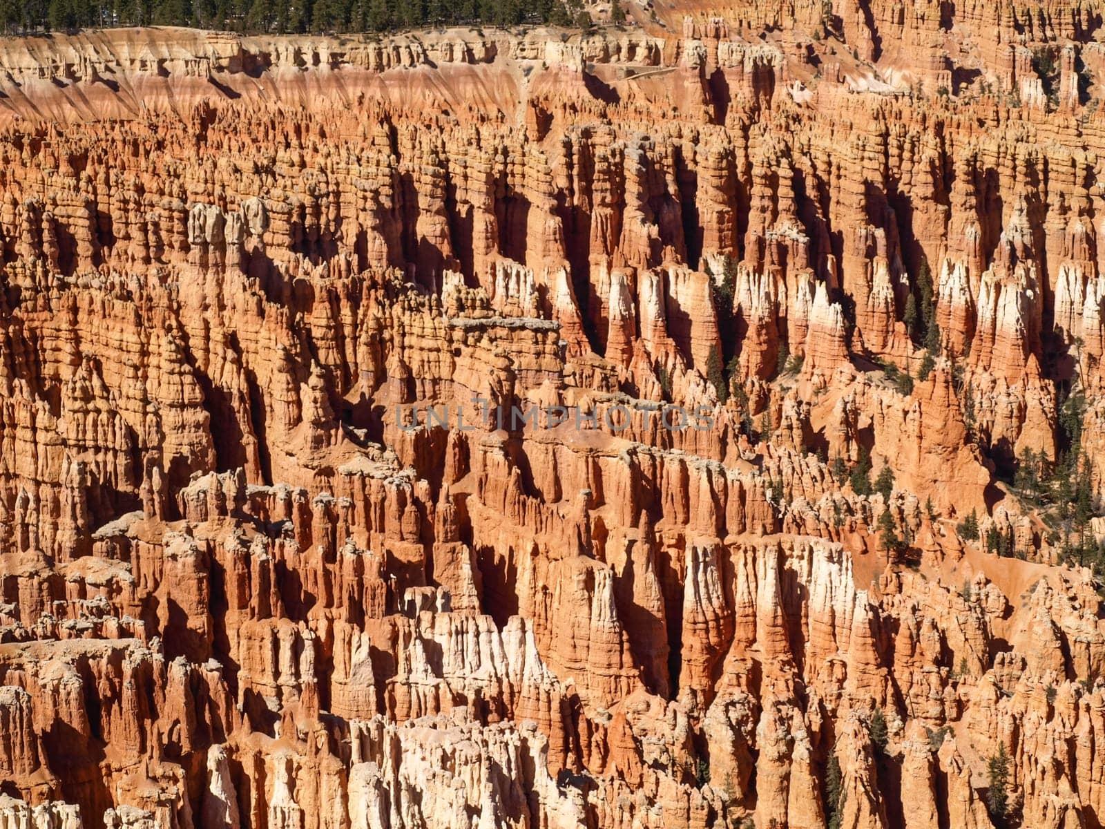 The Bryce Canyon National Park, Utah, United States