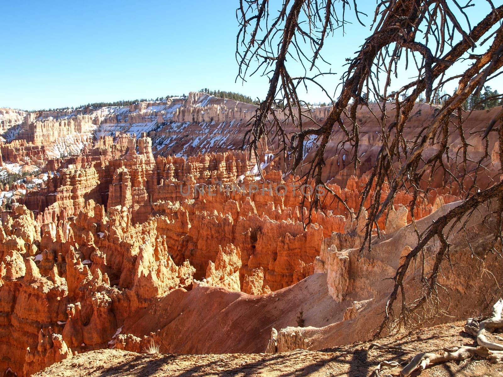 The Bryce Canyon National Park, Utah, United States