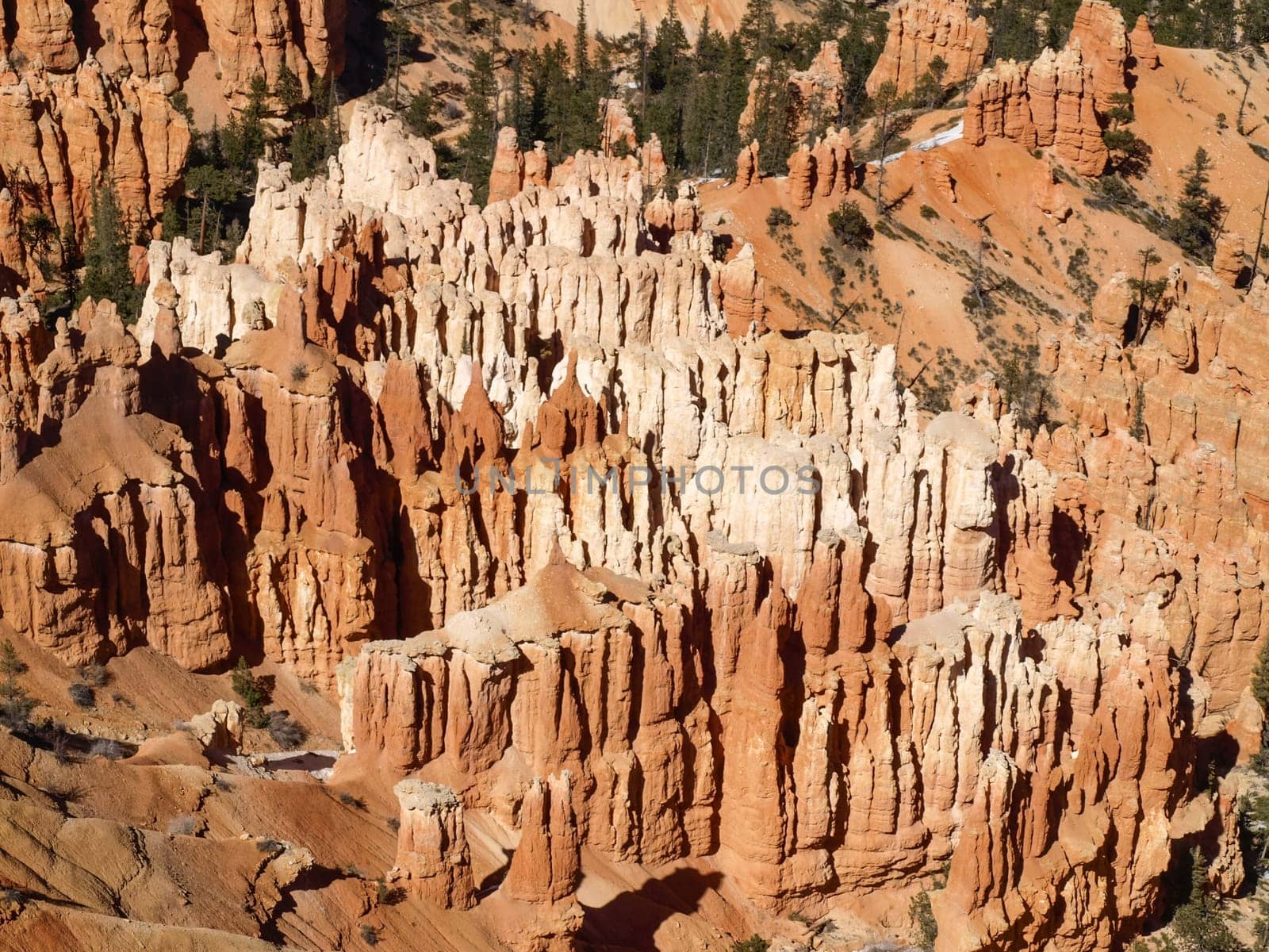 The Bryce Canyon National Park, Utah, United States