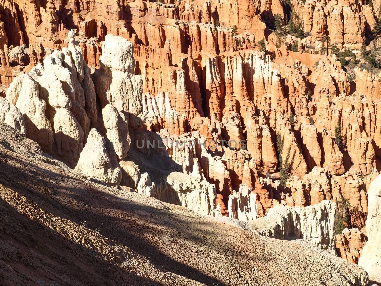 The Bryce Canyon National Park, Utah, United States