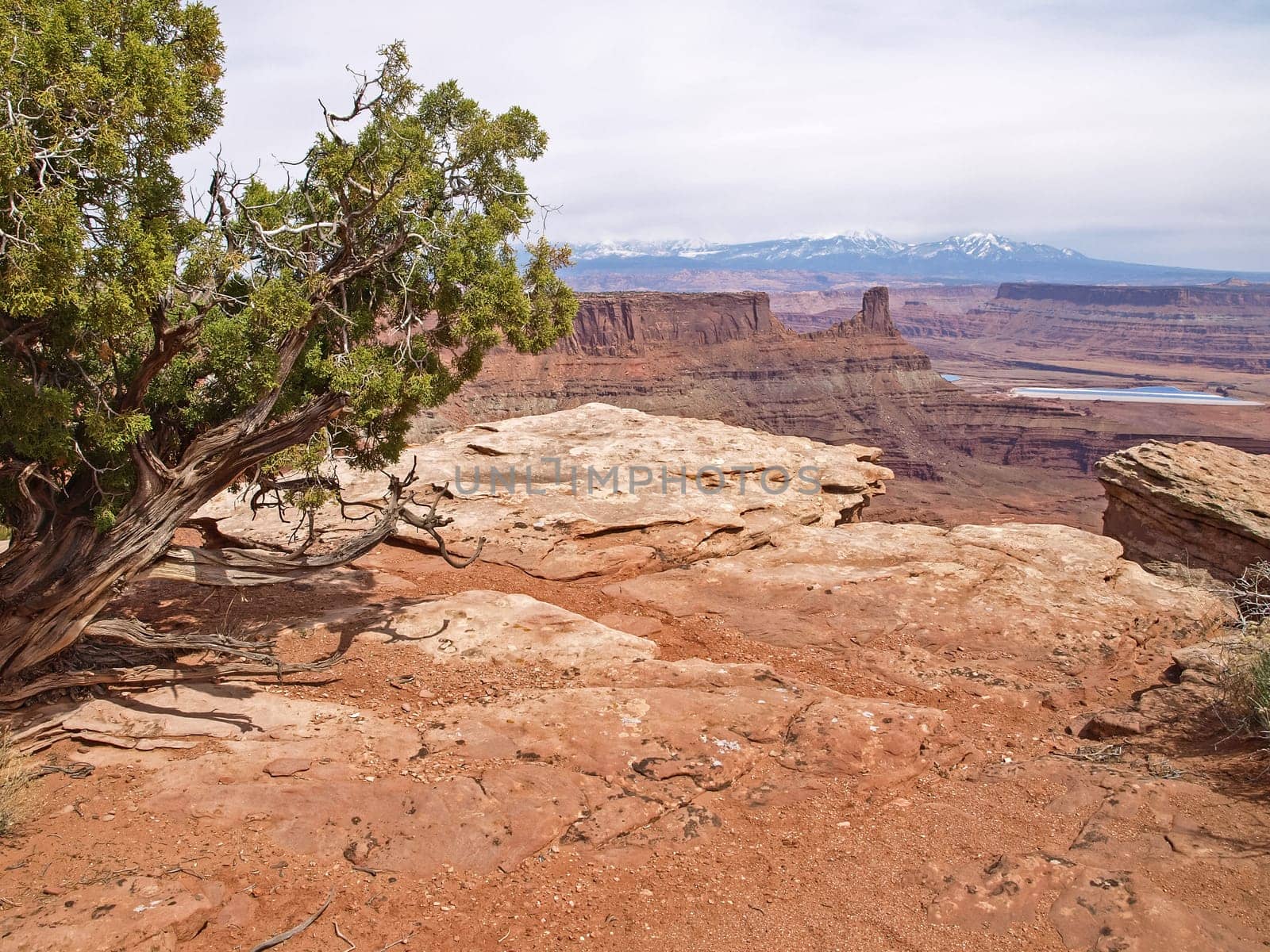 Dead Horse Point, Colorado river, Utah USA