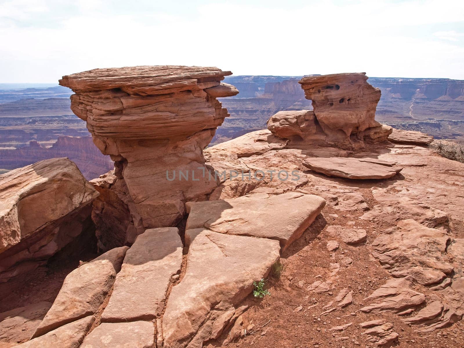 Dead Horse Point, Colorado river, Utah USA