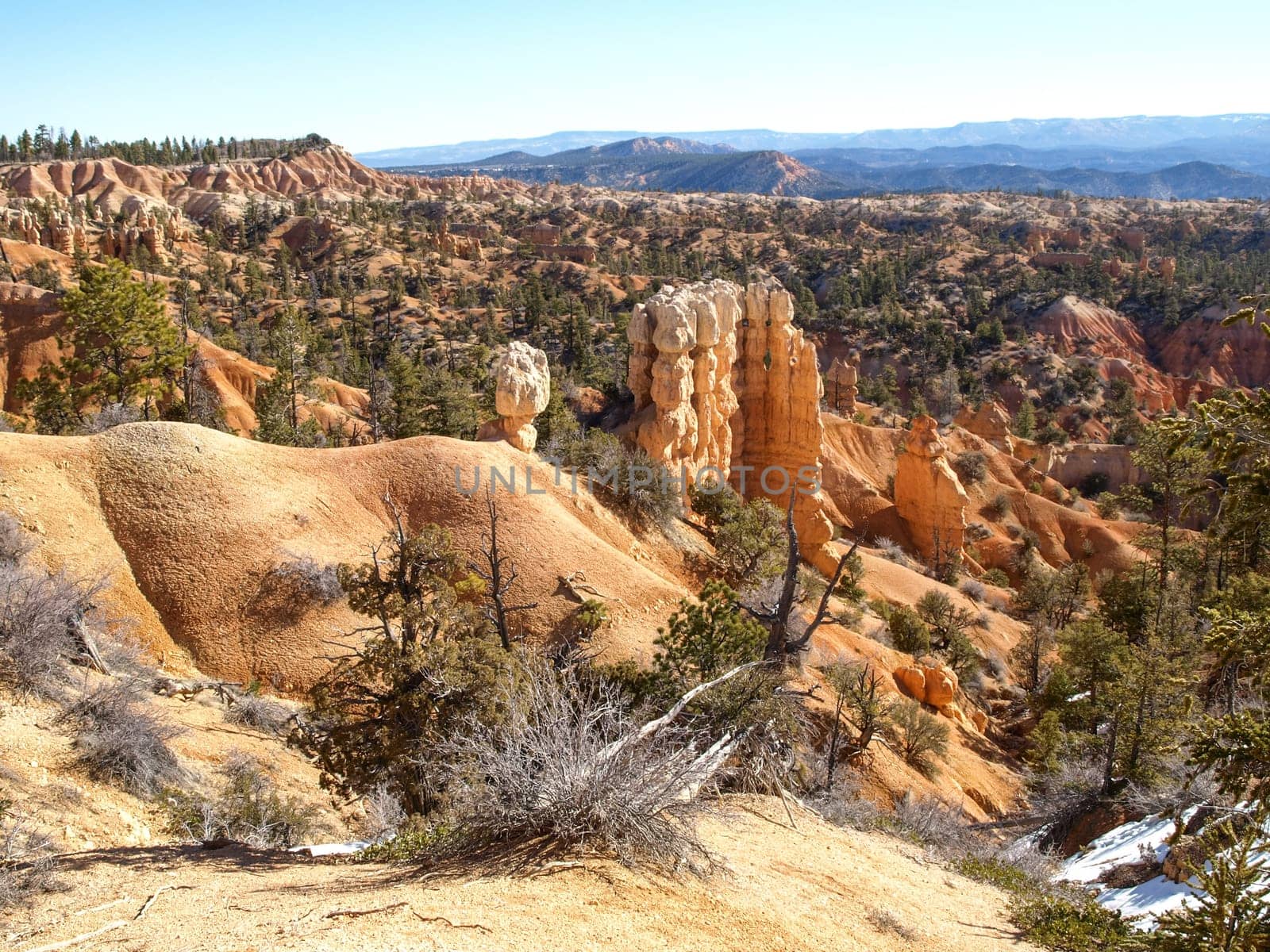 The Bryce Canyon National Park, Utah, United States