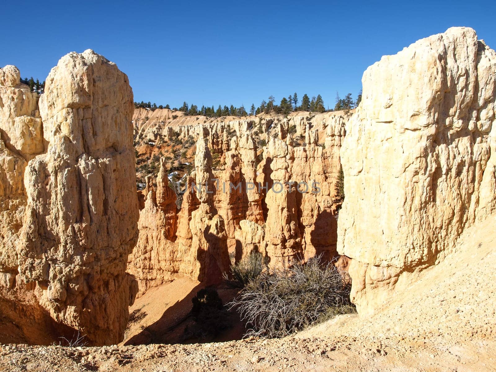 The Bryce Canyon National Park, Utah, United States
