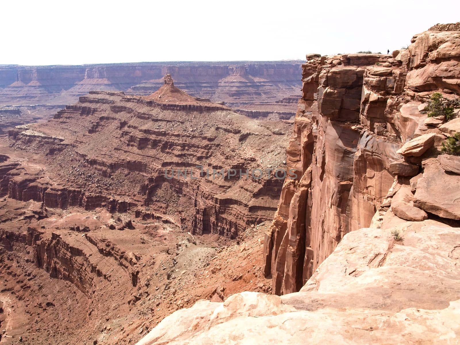 Dead Horse Point, Colorado river, Utah USA
