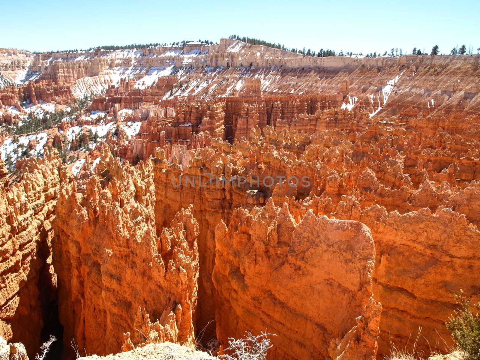 The Bryce Canyon National Park, Utah, United States