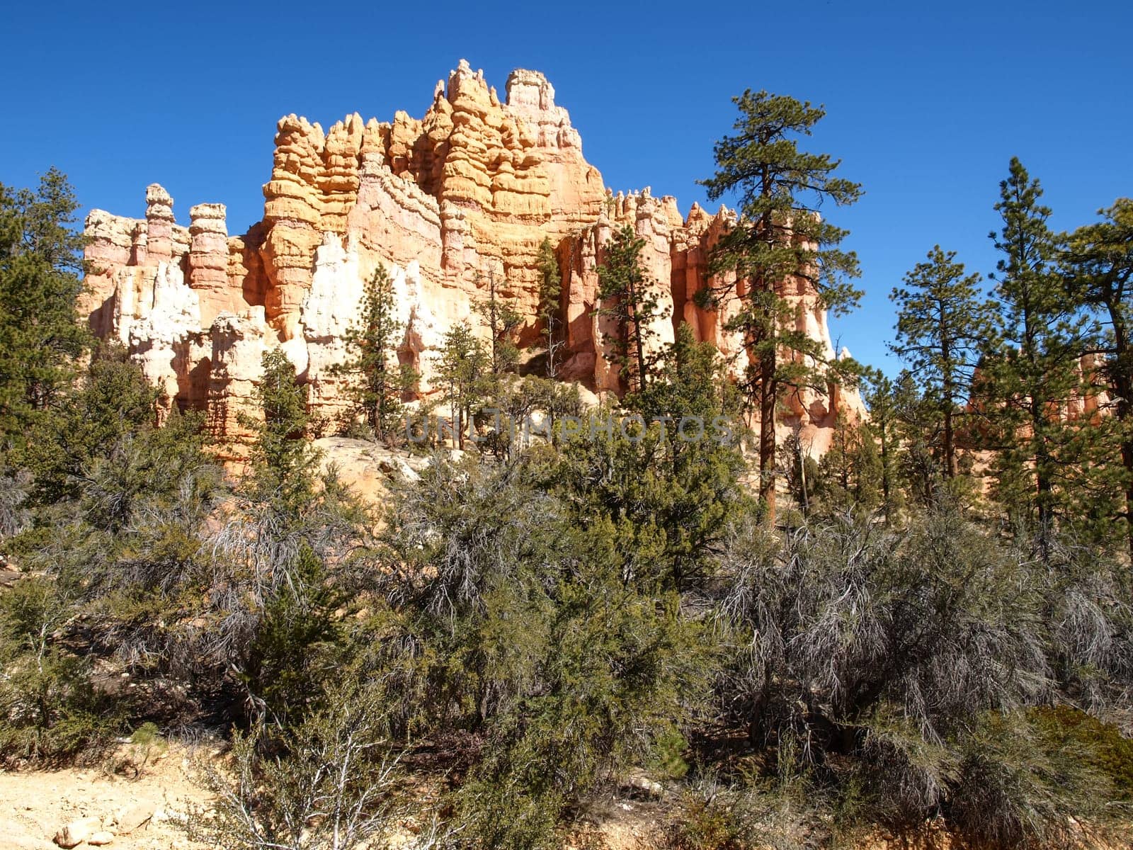 The Bryce Canyon National Park, Utah, United States