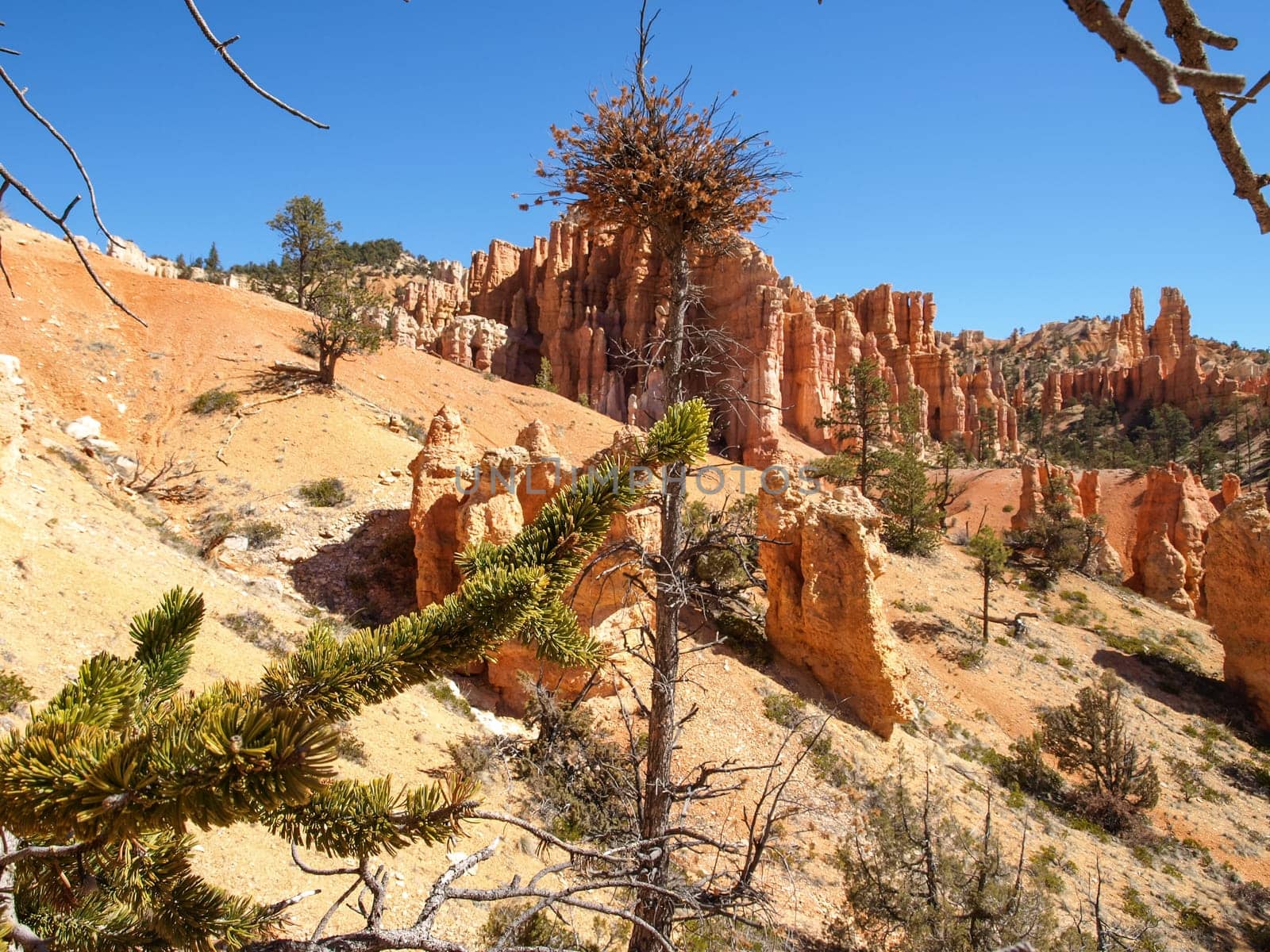 The Bryce Canyon National Park, Utah, United States