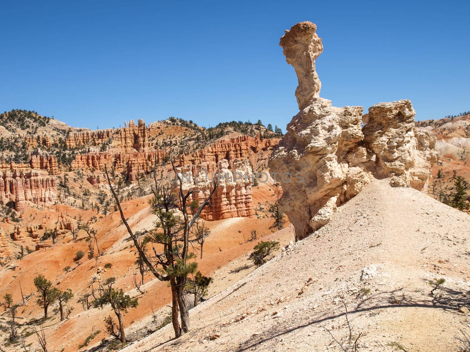 The Bryce Canyon National Park, Utah, United States