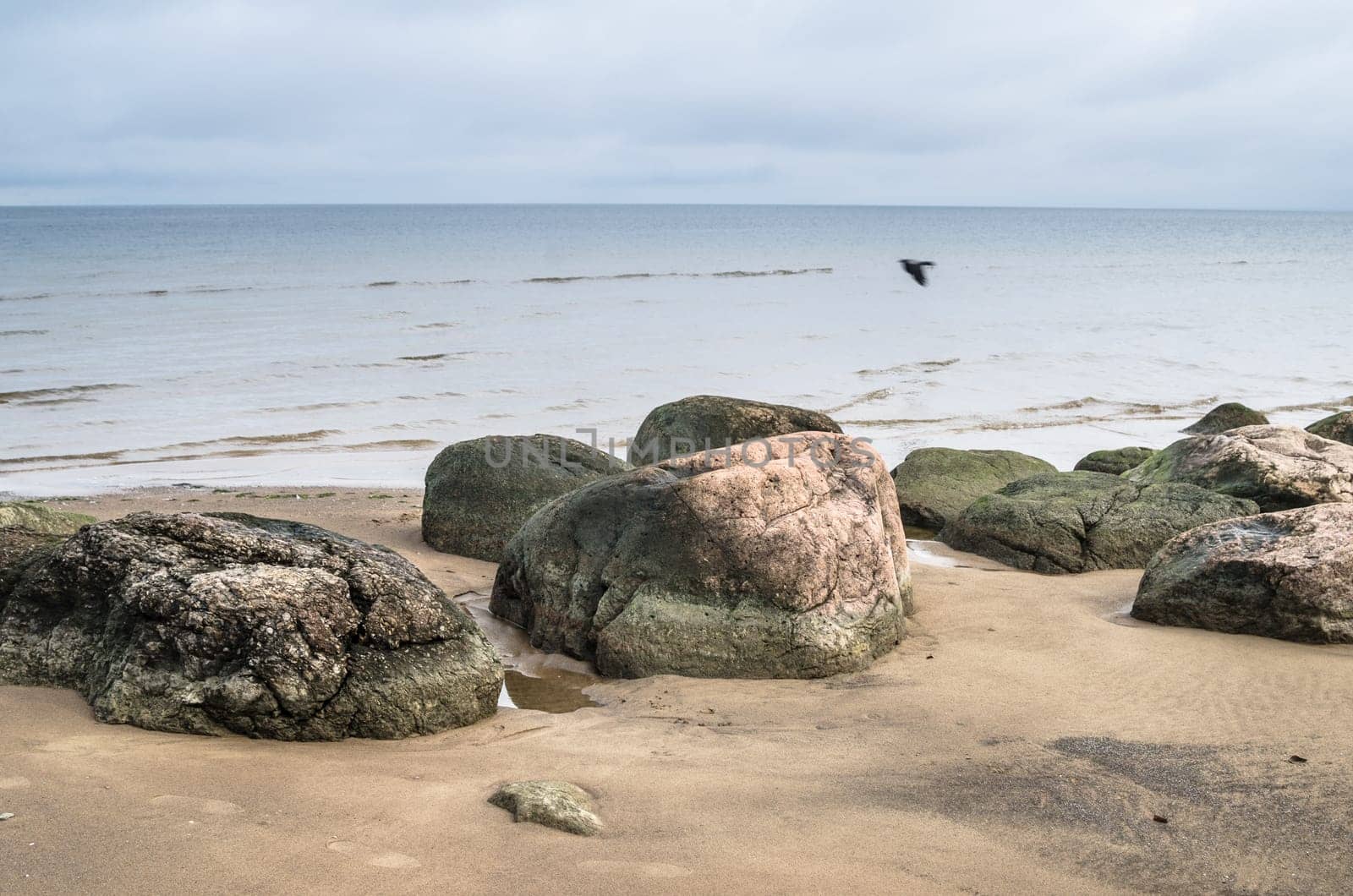 Rocky beach on the Gulf of Finland. Sillamae, Estonia