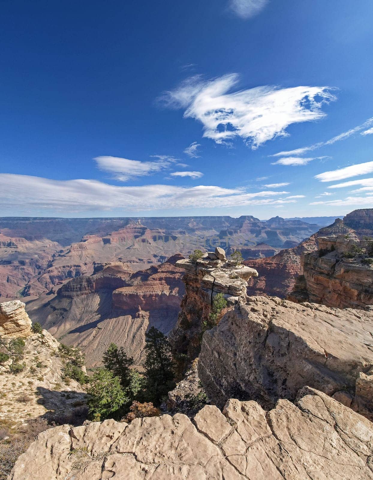The Grand Canyon. Views of the canyon, the landscape and nature.