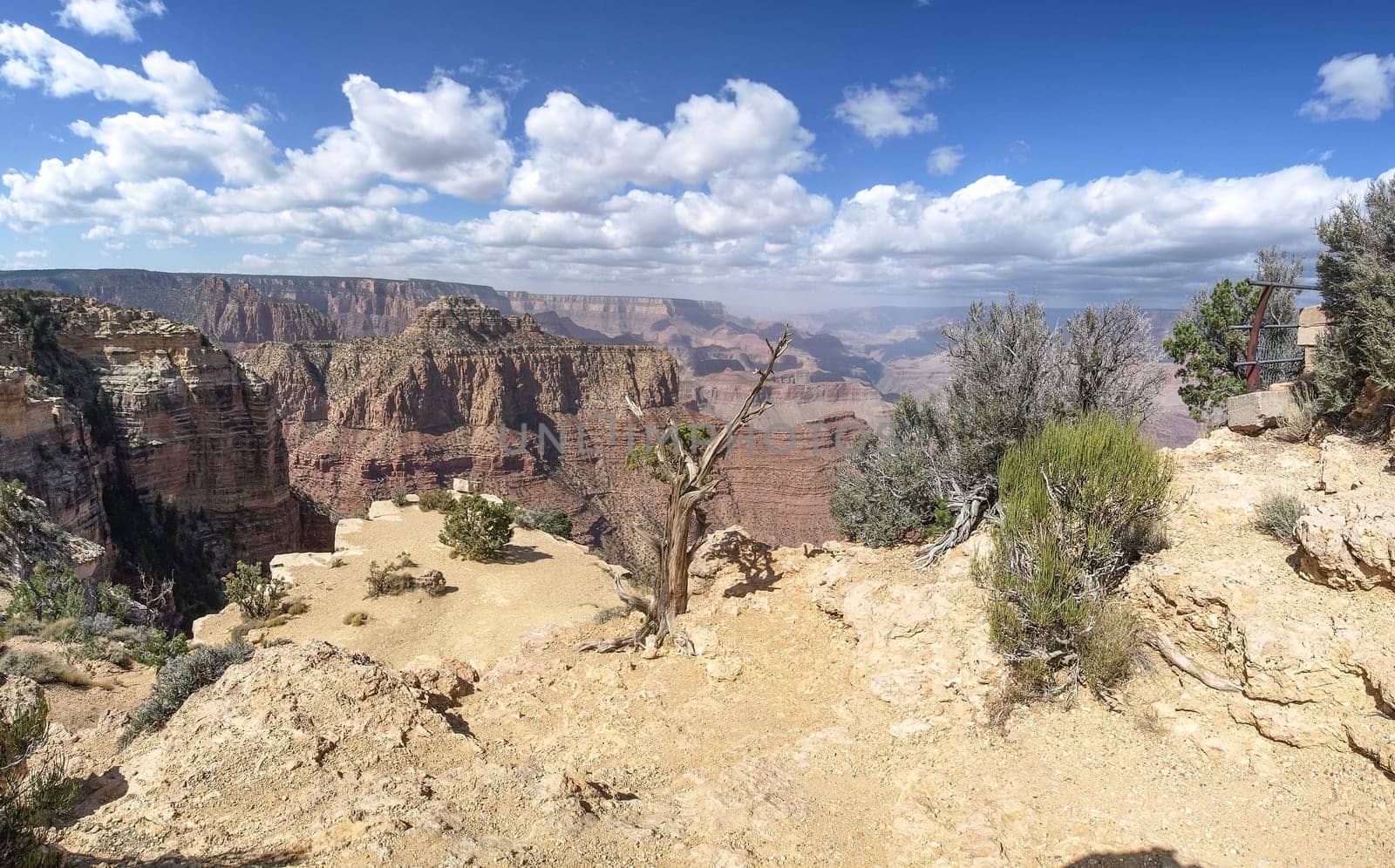 The Grand Canyon. Views of the canyon, the landscape and nature.