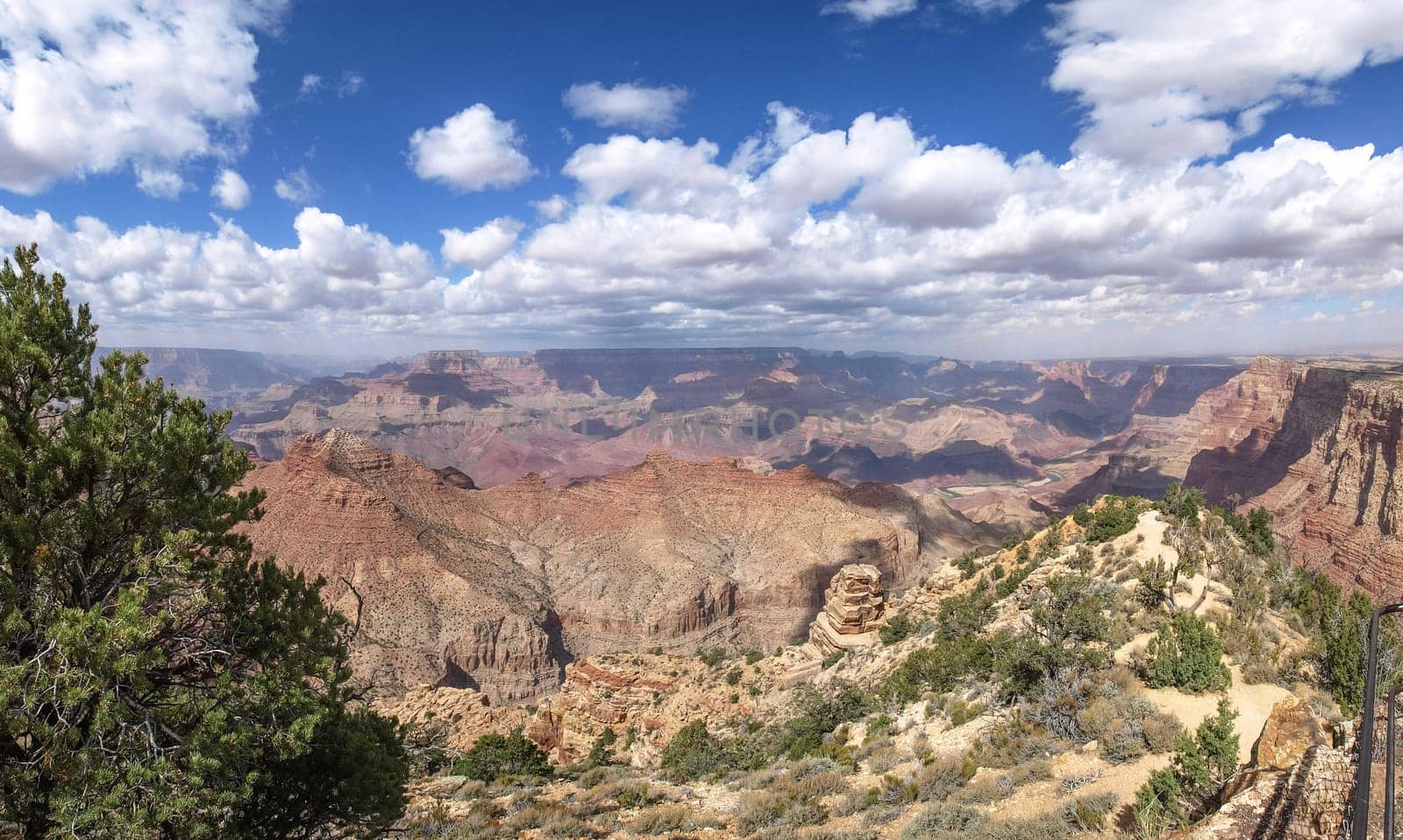 The Grand Canyon. Views of the canyon, the landscape and nature.